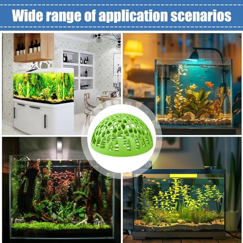 Shrimp Cave Betta Habitat Ornament | Realistic 2-Piece Betta Resting Habitat for Tropical Fish Tanks, Perfect for Home, Office, School Desk Aquariums and Small Aquatic Life Enthusiasts - color: Green