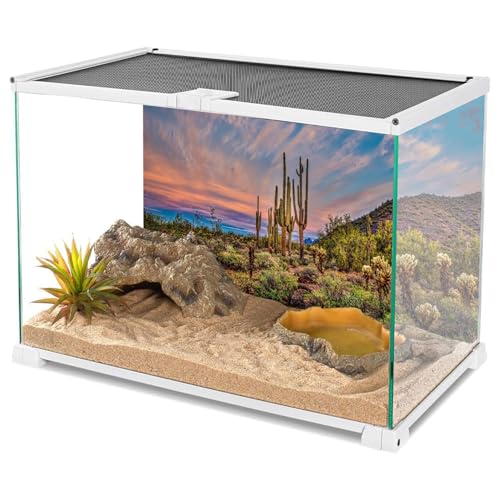 AWERT 36x20 inches Terrarium Background Blue Sky Cloud Huge Cactus Oasis Gobi Reptile Habitat Background Vinyl - size: 36x20in/90x50cm