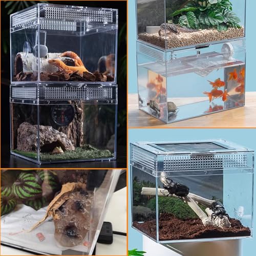 Reptile Terrarium, Jumping Spider Enclosure Starter Kit, Leopard Gecko Habitat Container, 8"x8"x6"Reptile Tank for Tarantula, Hermit Crab, Insect, Fish, Frog, Small Bearded Dragon, Lizard - size: 8"x8"x6"