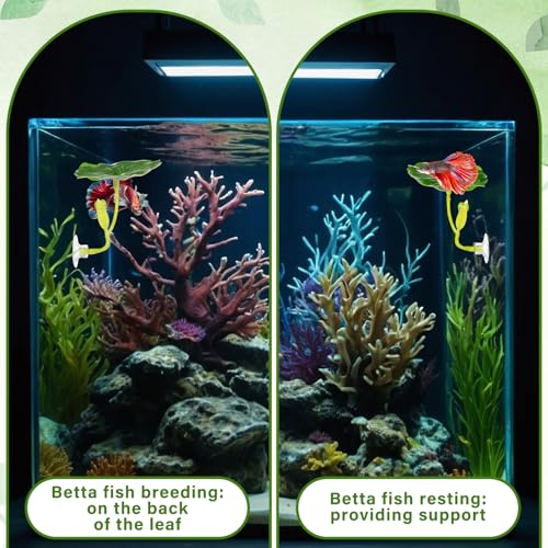 QfwdfcTrenz 3 Pcs Betta Fish Leaf Pad Simulating The Natural Habitat Green Hammock for Fish Spawning Grounds Leaves Improves Betta's Health Comfortable Resting Bed