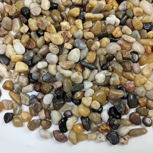 FANTIAN 2 Pounds Pebbles for Plants, 3/8 Inch Polished Pea Gravel. Decorative Stones River Rocks for Succulent Soil Cover, Cactus, Aquarium, Vase and Outdoor Garden Landscaping - size: 2 pounds, style: Natural