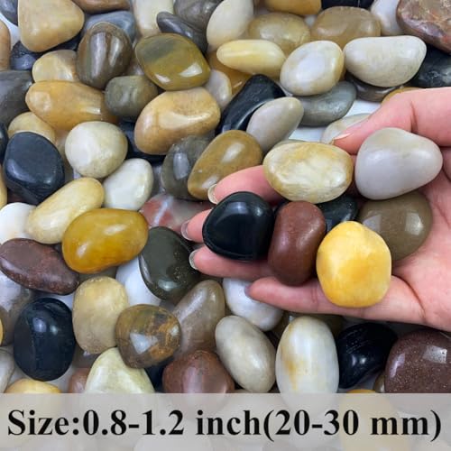 FANTIAN 2 lbs Small Pebbles for Indoor Plants, 0.8-1.2 Inch Decorative River Rocks for Plants, Landscaping, Succulents Potted, Vase, Fish Tank, Stones for Planter and Outdoor Garden Rocks - size: 0.8-1.2 Inch, style: 2 Pounds