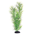 Underwater Treasures Green Diandra - 16"