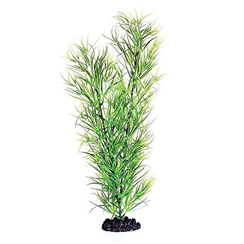 Underwater Treasures Green Diandra - 16"