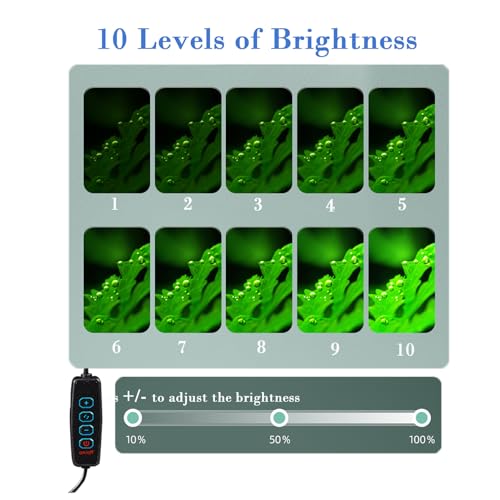 Upgraded Aquarium Light Clip On Fish Tank LED Light Small USB Light Dimmer Multi-Color White+Warm Yellow+Yellow 1 to 5 Gal (Adapter NOT Included, No Timer) - size: Black-Dimmer