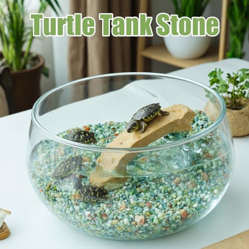 River Rocks 5 Lbs, 3/8 Inch Jade Pea Gravel, Rocks for Plants Indoor, Stones for Garden Landscaping, Vase Filler, Smooth Gravel Filler for Succulents, Cactus, Fish Tank and Vases - color: Jade
