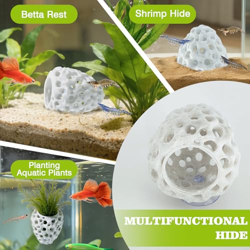 Shrimp Dome Hide, Shrimp Hides for Aquarium, Betta Fish Hideout with Suction Cup, Betta Habitat Tank Ornament Accessories, Aquarium Decor for Small Fish Guppy Hiding Resting (White) - color: White