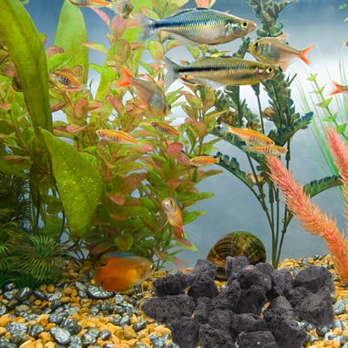 UKCOCO 1-1.6 Inches Natural Black Lava Rock for Aquarium and Plants, 200g/0.44Lb Volcanic Rocks Decorative Stones for Fish Tank Filtration, Aquascaping, Terrarium and Potted Plants