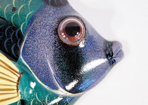 Handpainted Tropical Fish Replica Wall Mount Decor Plaque Green 12"