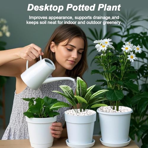 Succulent Rocks,Virekm River Rocks,Decorative Ornamental Pebbles,Garden Landscaping Stones,Gravel Filler for Home Decoration Flower Bed Fish Tank Plants Vases Succulents (1, White, 2 Pounds) - color: White, size: 2 Pounds