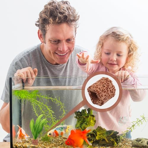 10pcs Aquarium Plant Holder Rings Anti-Floating Fixed Water Plant Anchors for Planted Fish Tanks Aquascaping Accessories Fish Tank Decoration