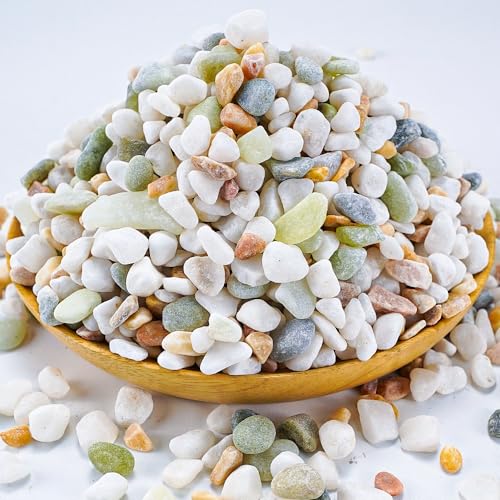 TOYPOPOR Mixed Color Decorative Rocks Stones Pebbles for Plants Garden Gravel White Rocks with Yellow, Green Pastel Accents Vase Fillers Natural Stone Top Dressing for Potted Plants Succulents 6 lbs - color: Three Colors Rocks, size: 6 lb