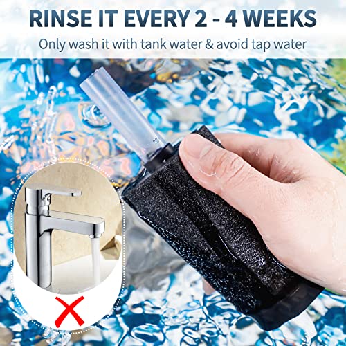 Pawfly Aquarium Bio Sponge Filter Small Fish Foam Filter with Airline Tubing Suction Cups Check Valve Connectors and Control Valve for Fish Tanks up to 20 Gallons