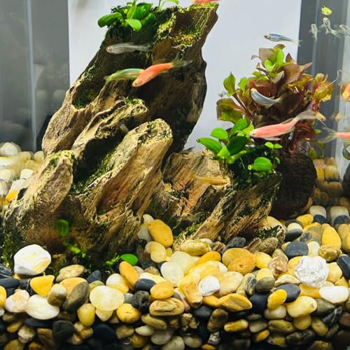20LB Decorative River Rocks Gravel - 2/5" Mixed Color Gravel for Vase Filling, Flower Pot Paving. Gravel for Garden Decoration,Landscaping,Aquarium Aquascape Gravel, Fish Tanks Gravel(8-12MM) - size: 20LB, style: 8-12MM