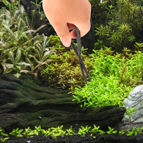 Toddmomy Professional Aquatic Plant Scissor Tool for Fish Tank Trimming Scissor Curved Design for Pruning Aquatic Plants Easy to Use and Store for Aquascaping and Terrariums