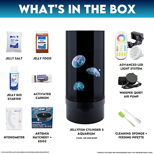 Jellyfish Art Jelly Cylinder 5 (Aquarium only kit) - Beginner Aquarium for Live Jellyfish (Black)