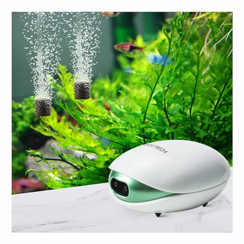 boxtech Aquarium Air Pump,Oxygen Fish Air Pump with Adjustable Air Valve, Fish Tank Air Pump with Accessories Tube, Bubble Stone and Check Valve, Fish Tank Aerator Kit - style: 2 Outlets,10-60 Gallon