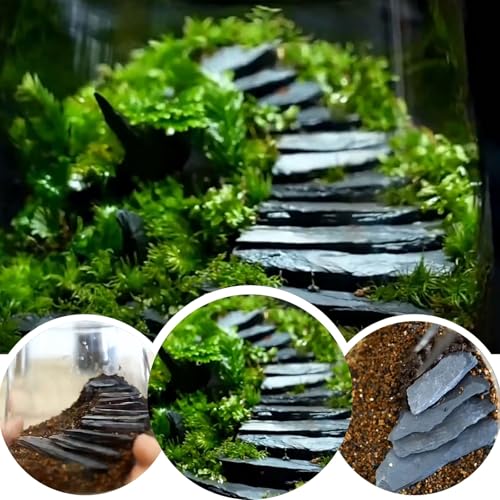 Aquarium Rock Natural Slate Rocks 2 to 4 inch Aquariums Stone for Aquascaping,Terrariums,Reptile Enclosures,Paludariums, and Gardens-5lb - size: 5lb(2-6'')