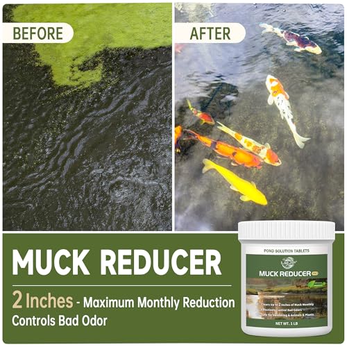 LMJP Muck Reducer - 1LB Natural Sludge Solution Tablets for Ponds & Lakes, Away Muck & Odor Control, Safe for Aquatic Life, Wildlife & Recreation, Treats Up to 6,000 Sq Ft - size: 1 Pound
