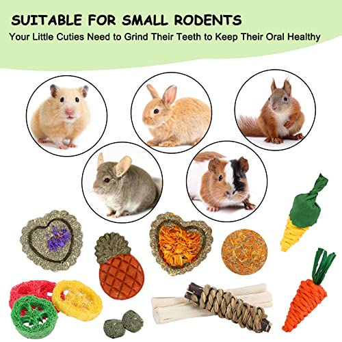 VESPRO Bunny Toys, 21PCS Rabbit Chew Toys for Teeth, Guinea Pig Natural Treats, Timothy Hay Sticks for Chinchillas Hamsters Rats, Small Animals Teeth Grinding - size: 1 Count (Pack of 2)