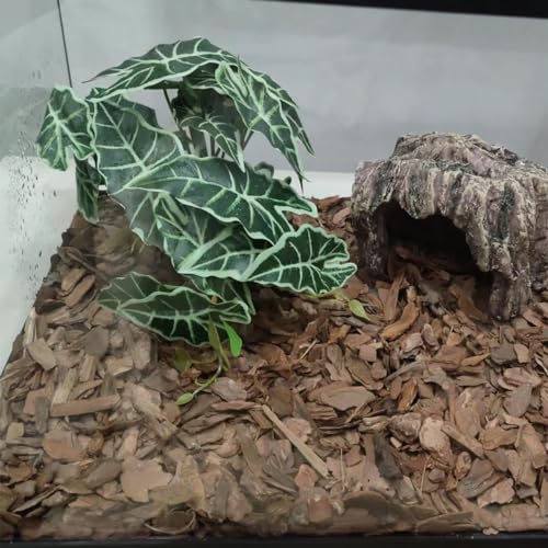 Reptile Plants,Terrarium Decor,Amphibian Habitat Decor,Artificial Plants for Gecko Chameleon Snake Tortoise Tank Accessories with Base(Alocasia) - color: Alocasia