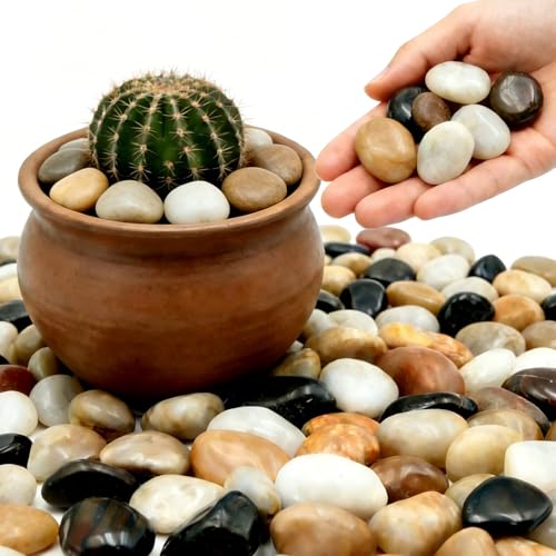1-2 Inch Polished River Rocks, Decorative Stones for Indoor Plants, Vase Filler, Fish Tank & Aquarium, Garden Landscaping, Mixed, 12LB - color: Mixed, size: 12LB