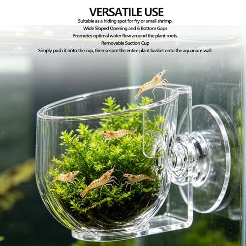 Aquarium Plant Holder, 4 Pack Acrylic Moss Cup with Suction Cups for Fish Tank Java Xmas Moss Shrimp Fry Hiding (Large Size)