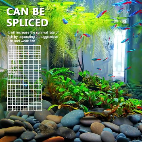 Tofficu Fish Tank Divider 3pcs Acrylic Isolation Board 30x15cm with 10 White Suction Cups Aquarium Breeding Partition for Small Fish Separation