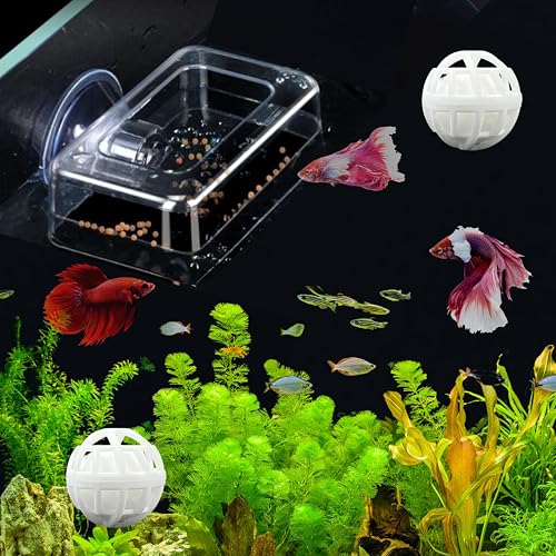 Acrylic Fish Feeding Box Ring for Turtle and Filter Balls Set, Betta Feeding Ring with Nitrifying Balls, Fish Feedings Box, Food Holder, Turtles Enrichment Toys, Tank Accessories (Clear, S) - size: Small Box Ring