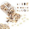 1200 Pieces Tiny Sea Shells Small Natural Starfish Mixed Ocean Beach Spiral Seashells for Home Decorations,Wedding Decor,Candle Making,Beach Theme Party,DIY Crafts and Vase Filler