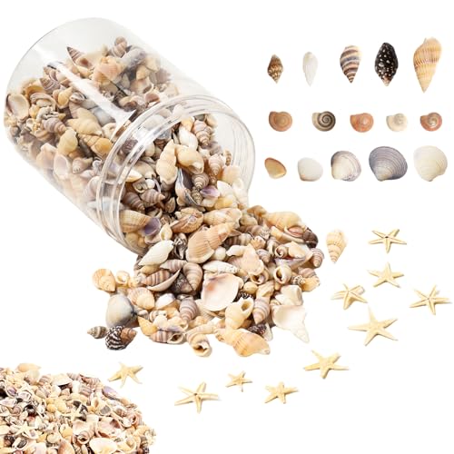 1200 Pieces Tiny Sea Shells Small Natural Starfish Mixed Ocean Beach Spiral Seashells for Home Decorations,Wedding Decor,Candle Making,Beach Theme Party,DIY Crafts and Vase Filler
