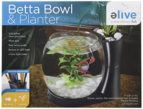 Elive Betta Fish Bowl / Betta Fish Tank with Planter, Small 0.75 Gallon Aquarium, LED Light Timer, Black