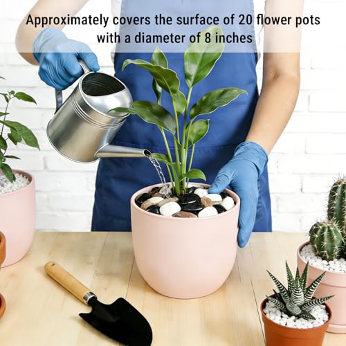 18-lb Bulk Bag Pebbles for Plants 1-1.5 ” Aquarium Gravel River Rocks Garden Outdoor Decorative Stones