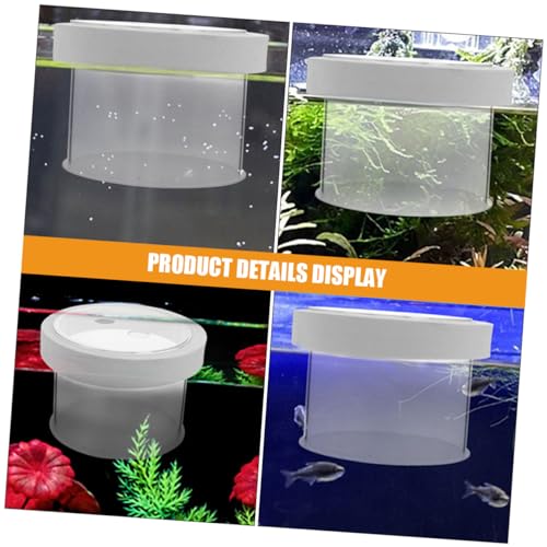 FRCOLOR Acrylic Fish Breeding Box Floating Design Fish Isolation Container for Aquariums Breeder Cups to Survival Rate