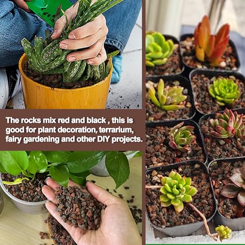 3lb Lava Rocks for Plants - Horticultural Volcanic Gravel for Drainage in Succulents, Bonsai, Terrariums and Landscaping - color: Mix Lava, size: 3lb