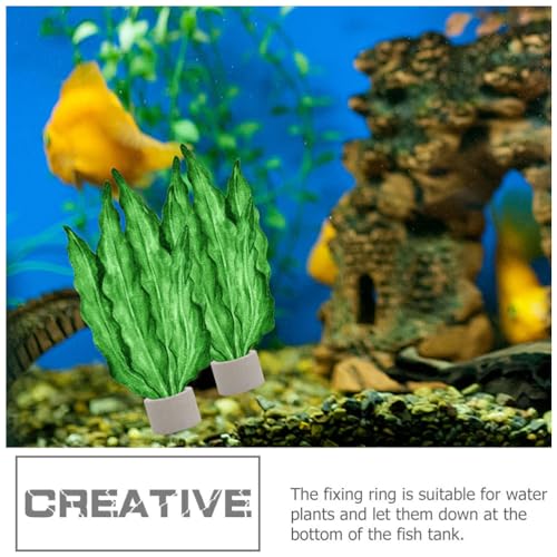 iplusmile Aquarium Plant Holder Rings 1.77In Ceramic – Weighted Anti-Float Secure Fixing – for Fish Tanks Freshwater Aquariums Shrimp Tanks for Live Aquatic Plants Grass Decor