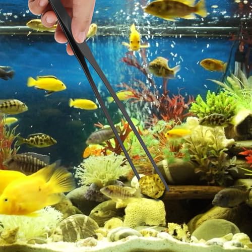 2pc-10.6"Aquarium Tweezers,Stainless Steel Straight and Curved Tweezers Set,Long Handle Reptile Feeding Tongs for Lizards, Bearded Dragon Snake Tank Accessories (Black) - color: Black