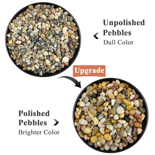 FANTIAN 10 lbs Aquarium Pea Gravel, 3/8 Inch Polished Pebbles. Decorative Stones River Rocks for Succulent Soil Cover, Fish Yank, Vase and Outdoor Garden Landscaping - size: 10 pounds, style: Natural