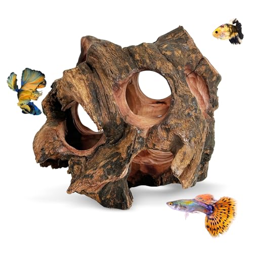 PINVNBY Betta Fish Cave Natural Wood Betta Fish Hideout for Aquarium Fish Tank Decorations Hideout Betta Fish Accessories Habitat Shelter for Crayfish Shrimp and Other Aquatic Pets