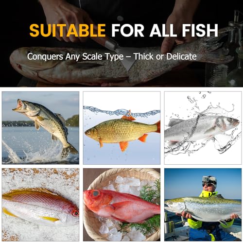 Fish Scaler Stainless Stee Fish Scale Remover Fish Descaler Fish Cleaner Fish Scraper Tool