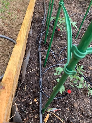 Black Vinyl Tubing 3/4” ID × 1” OD - 50 Feet PVC Flexible Plastic Tube Hybrid Hose, Transfer Water Air Oil for Pond Fountain Garden, Non-toxic and BPA free - size: ID 3/4 INCH, style: 50 Feet