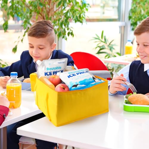 12 Pack 7x7 Inch / 10x10 InchReusable Long Lasting Ice Packs for Cooler, Reusable Ice Packs for Lunch Box, Lunch Bags for Beach, Fishing, Camping - size: 10x10in/12Pack