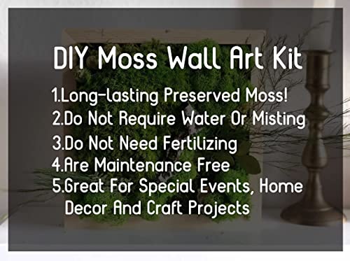 Preserved Reindeer Moss Natural Green DIY Kit Gardenning Art Wall Decor Florist Decor Easter Table Decor Wedding - color: Green-14, size: 0.85 lb