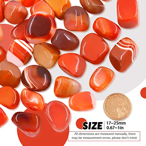 Hilitchi Reddish Brown Agate Stone Tumbled Stones for Plants Cacti & Succulents Bedding, Vase Filler, Landscape Bottom Decoration (About 1lb(455g)/Bag) - color: Red Agate, size: 17-25mm (0.67"- 0.98")