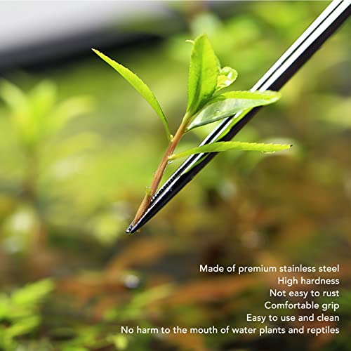 Aquarium Tweezers, Reptile Feeding Tweezers Easy To Clean Stainless Steel for Aquarium Plant (Straight Tweezers)