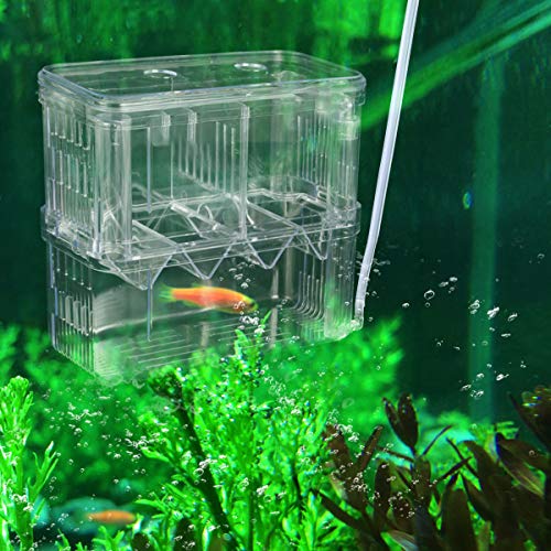 Senzeal Aquarium Fish Breeder Box Plastic Fish Isolation Breeding Box Hatching Incubator for Baby Shrimp Clownfish Guppy - size: Large