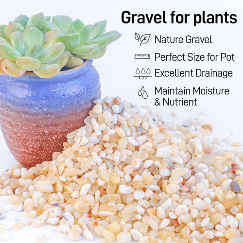 CJGQ 7lb Aquarium Gravel for Plants,1/5 Inch Natural Decorative River Rocks for Succulent and Cactus Landscaping, Natural Small Rocks for Fish Tanks, Vases & Terrariums - color: Mixed Beige, size: 7lb