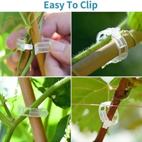 Plant Support Clips, Reusable Garden Clips Plant Holder Clips, Plastic Tomato Vine Grape Clips for String Trellis Plant Clips for Climbing Plants Support Outdoor Indoor Gardening Supplies (50, White) - color: White
