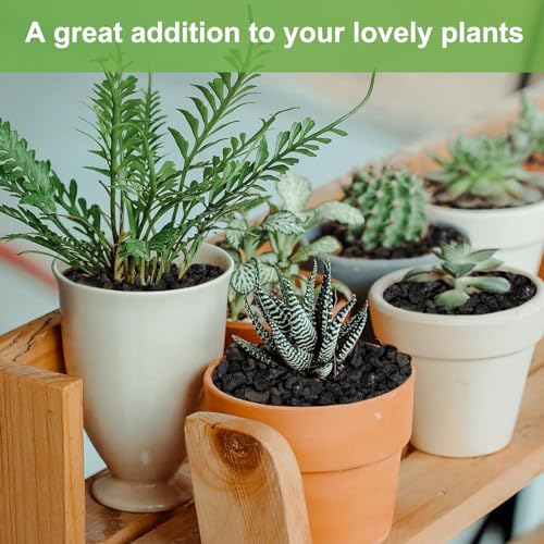 2.5lbs Lava Rocks for Plants, 1/5 Inch Black Gravel for Succulent, Cactus, Bonsai Tree, Pure Volcanic Rocks, Top-Dressing, Good Drainage - color: Black