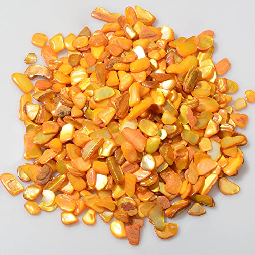 QICQDRAM Crushed Shells for Crafts About 1LB (405g/14.28oz) Small Natural Crushed Shells Bulk for Crafts DIY Beaching Wedding Decoration Vase Fillers (Golden Yellow) - color: Golden Yellow, size: 1LB (405g/14.28oz)